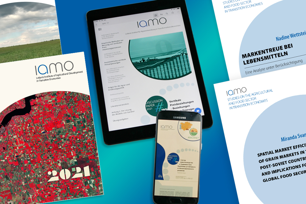 IAMO Annual, Discussion Paper und Studies